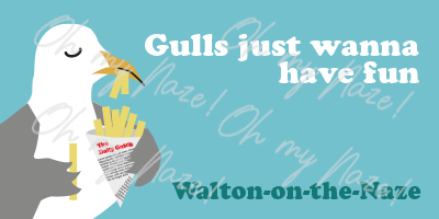 Gulls just wanna have fun header image